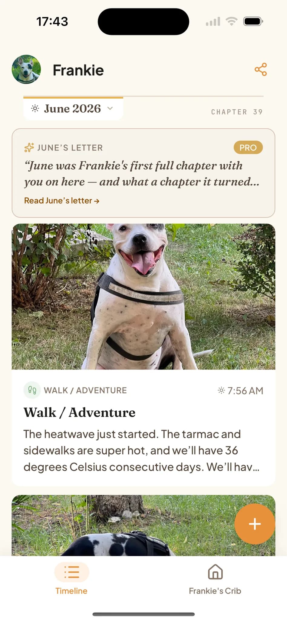Tamadoggo pet journal timeline showing a dog's month as a chapter — a photographed walk, everyday moments, and the AI monthly letter